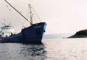 Ein kleiner Frachter Leuchtturm im Krågvågfjorden 2.jpg